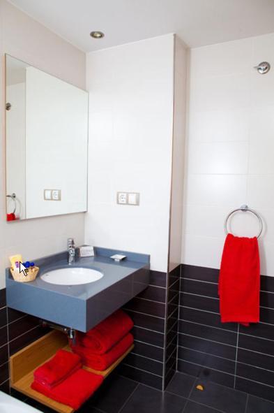 Apartahotel Castejón de Sos エクステリア 写真